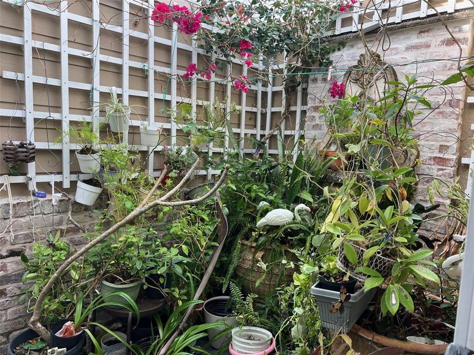 出租: $1,895 (2 贝兹, 2 浴室, 960 平方英尺)