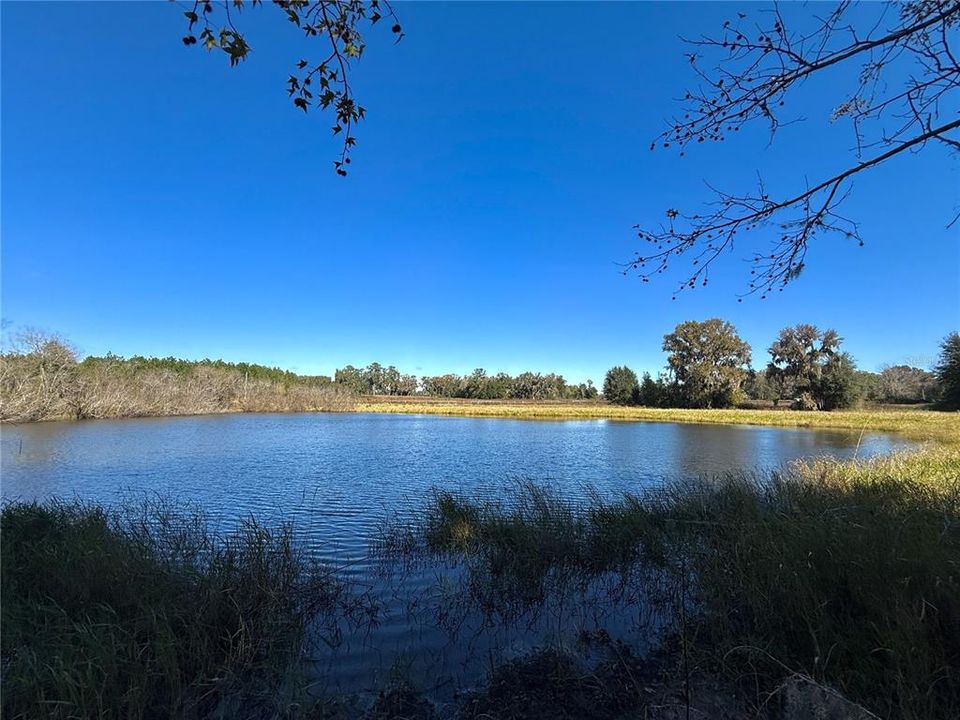 For Sale: $3,683,000 (63.50 acres)