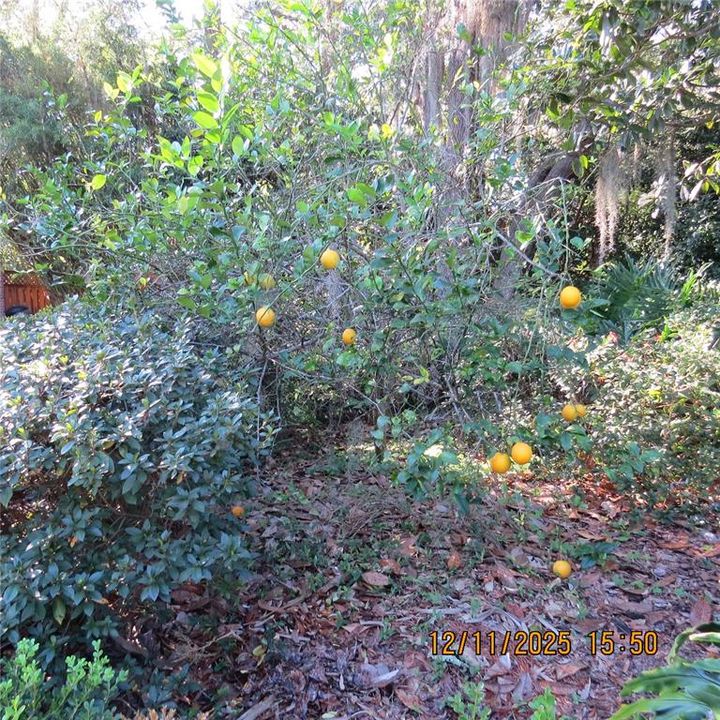 待售: $455,000 (4 贝兹, 2 浴室, 2100 平方英尺)