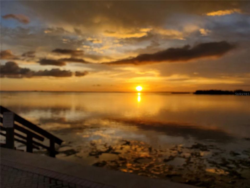 待售: $89,900 (2 贝兹, 1 浴室, 996 平方英尺)