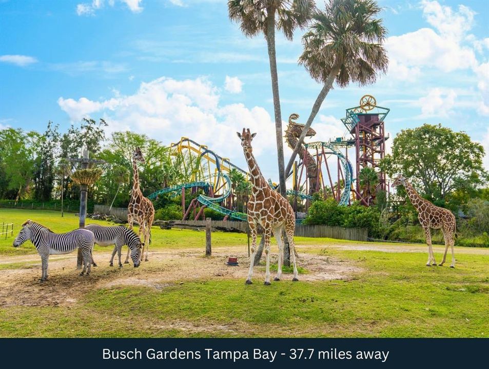 For Sale: $1,100,000 (7.11 acres)