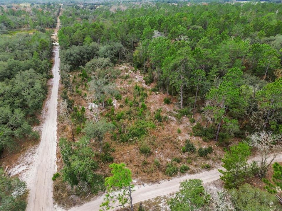 待售: $37,000 (1.25 acres)