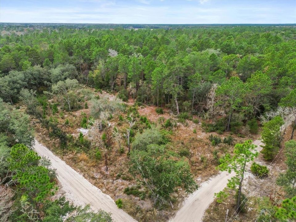 待售: $37,000 (1.25 acres)