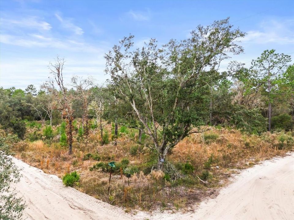 待售: $37,000 (1.25 acres)