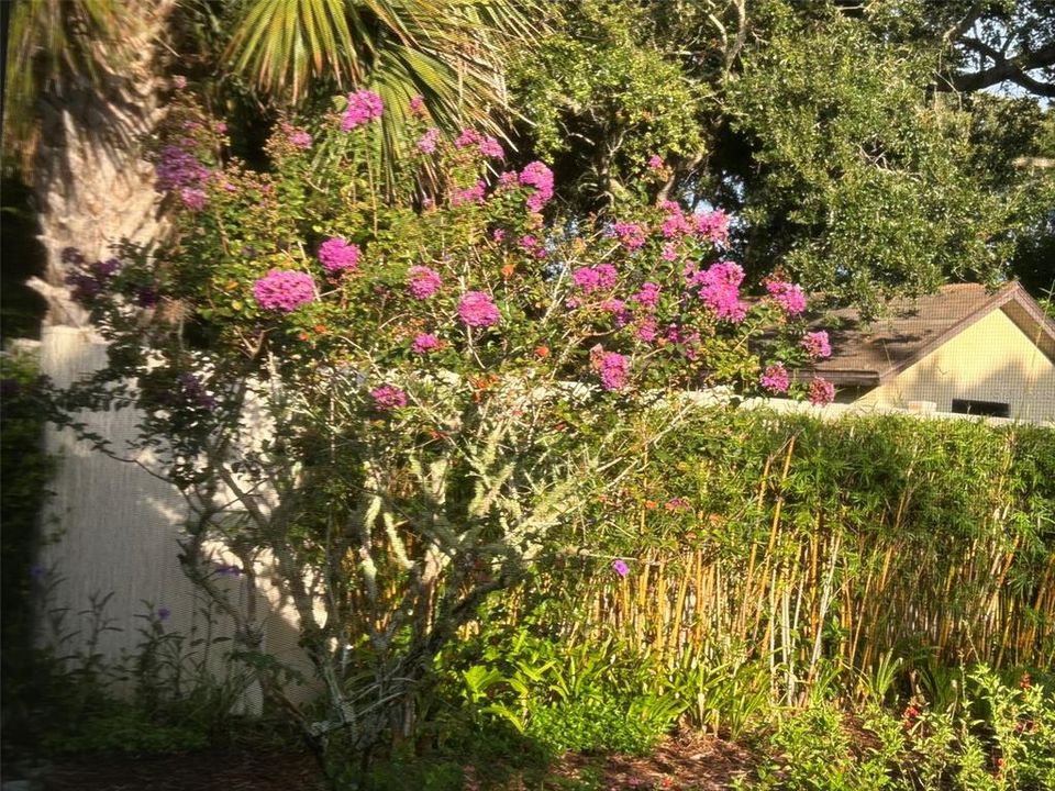 待售: $624,900 (3 贝兹, 2 浴室, 1313 平方英尺)