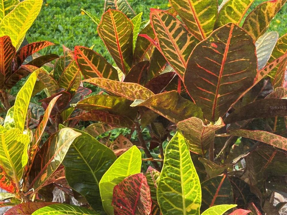 待售: $624,900 (3 贝兹, 2 浴室, 1313 平方英尺)