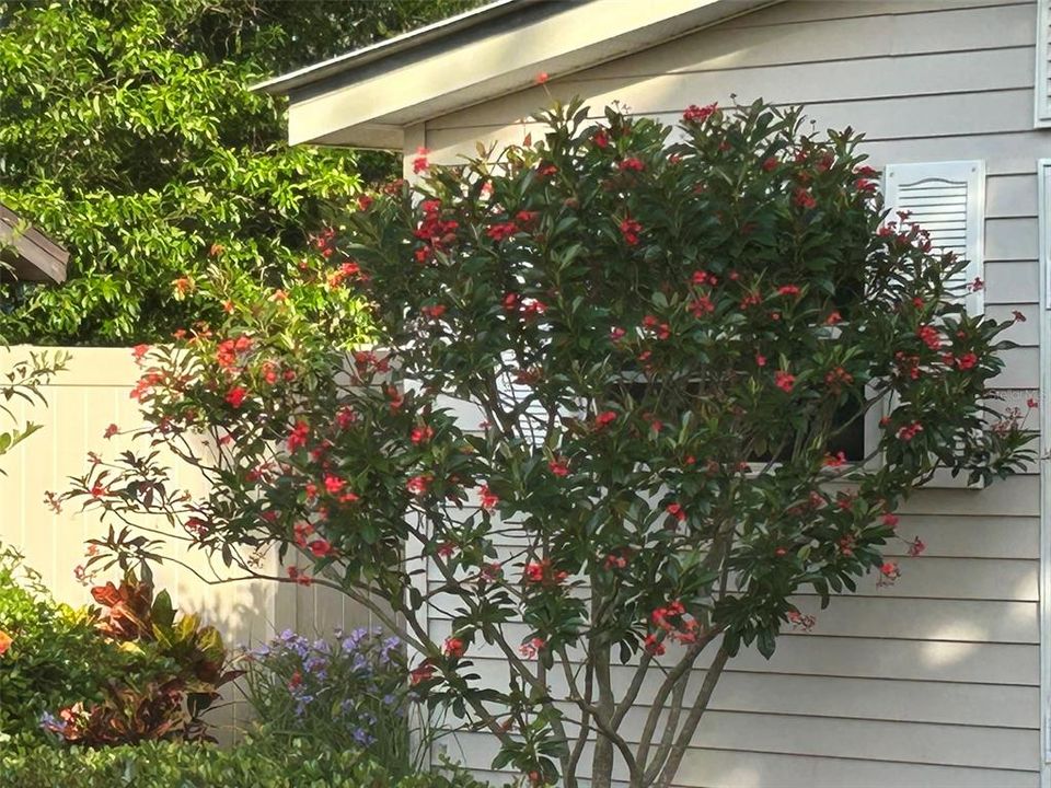 待售: $624,900 (3 贝兹, 2 浴室, 1313 平方英尺)