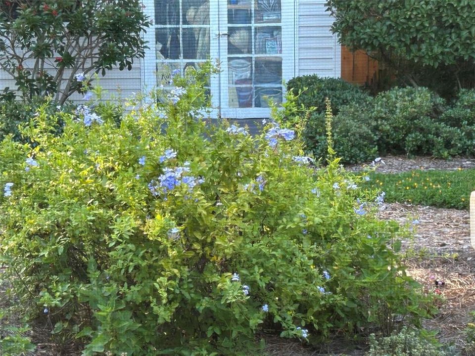 待售: $624,900 (3 贝兹, 2 浴室, 1313 平方英尺)