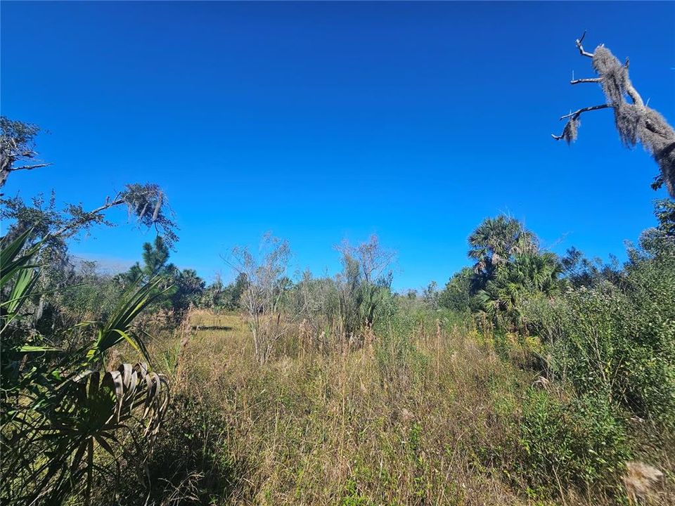 For Sale: $449,900 (5.00 acres)