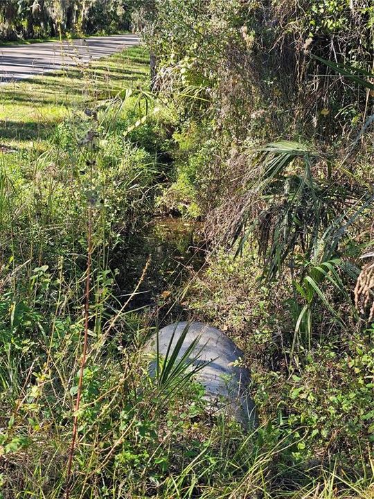 For Sale: $449,900 (5.00 acres)