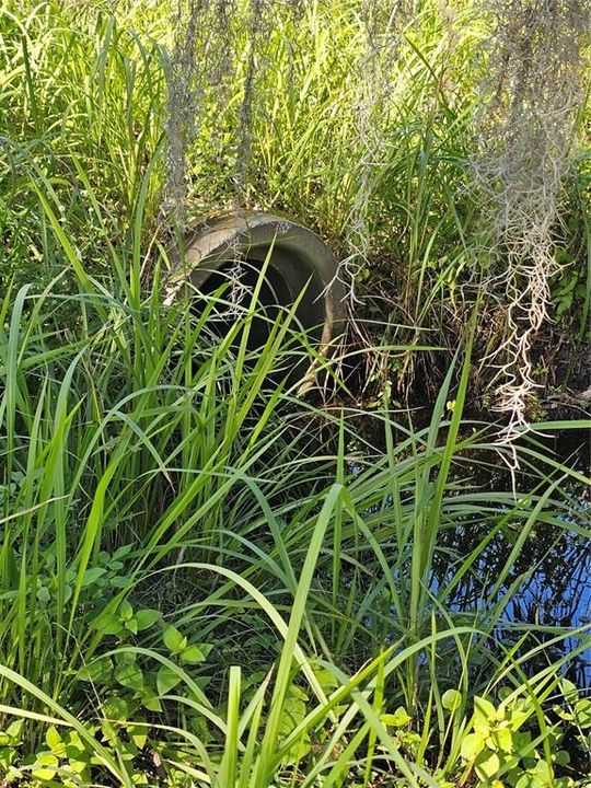 For Sale: $449,900 (5.00 acres)