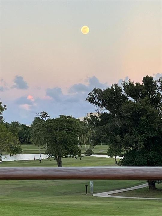 For Rent: $3,000 (2 beds, 2 baths, 2075 Square Feet)