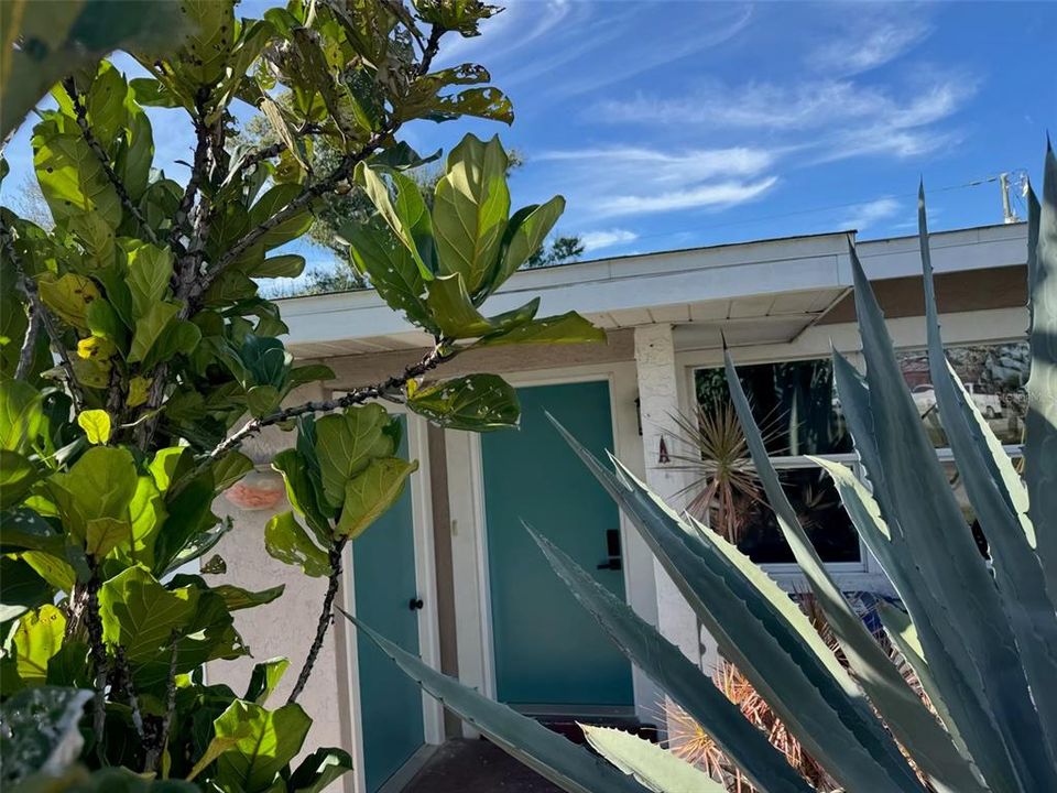 出租: $2,400 (2 贝兹, 1 浴室, 900 平方英尺)