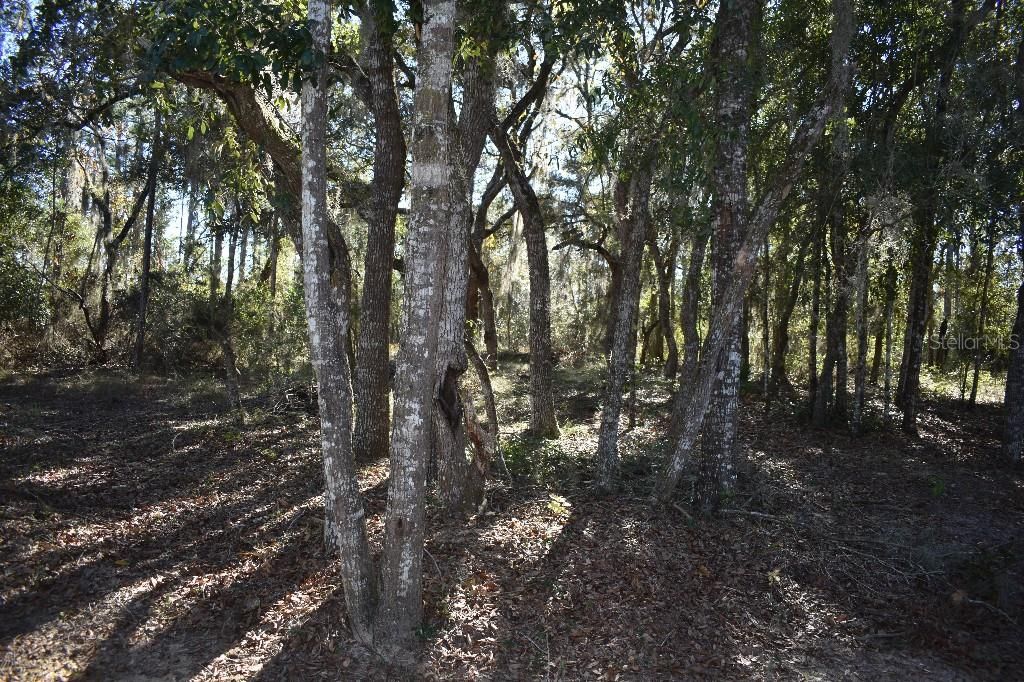 En Venta: $240,000 (3 camas, 2 baños, 1600 Pies cuadrados)