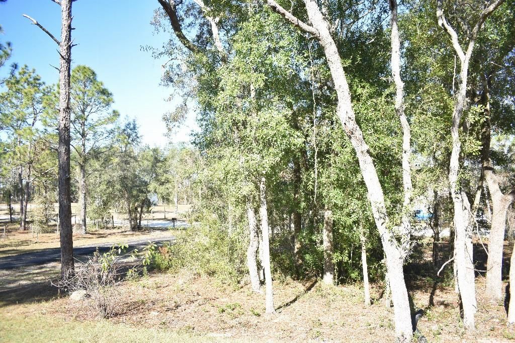 En Venta: $240,000 (3 camas, 2 baños, 1600 Pies cuadrados)