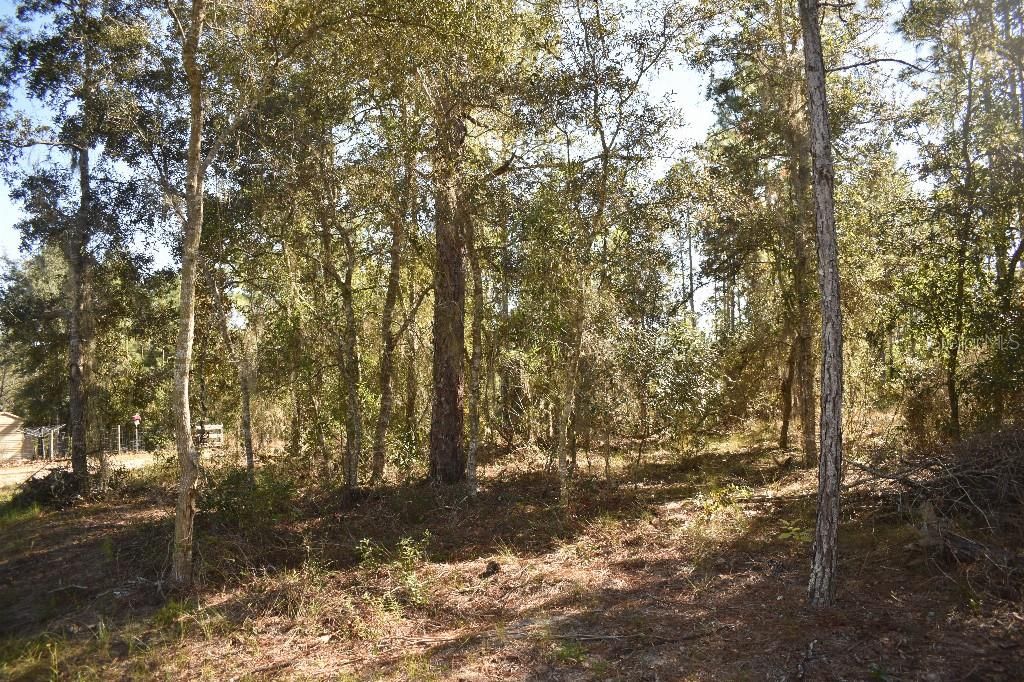 En Venta: $240,000 (3 camas, 2 baños, 1600 Pies cuadrados)