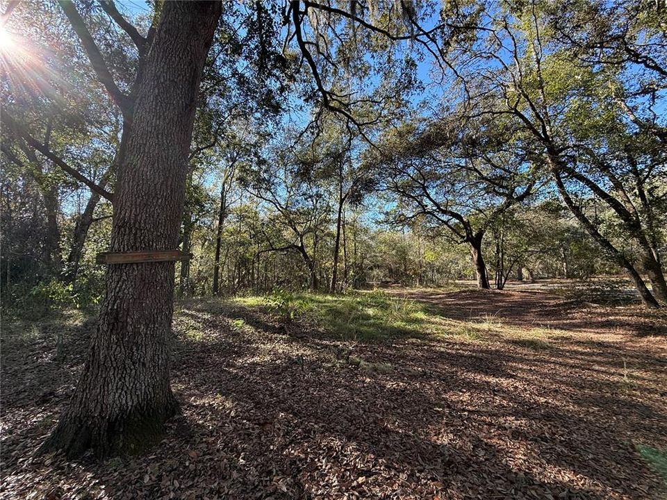 На продажу: $215,000 (3 спален, 2 ванн, 1456 Квадратных фут)