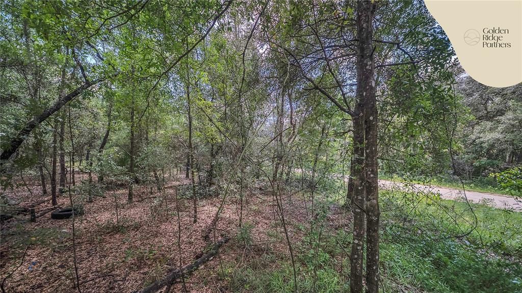 待售: $9,800 (0.22 acres)