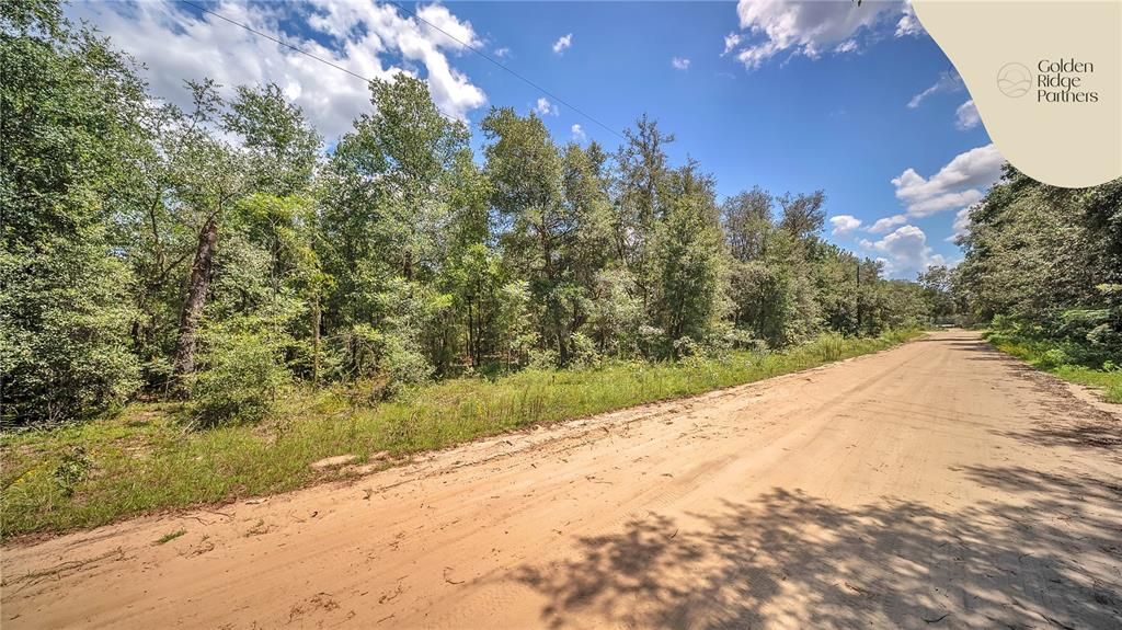 待售: $9,800 (0.22 acres)