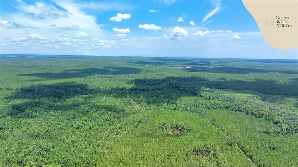 待售: $9,800 (0.22 acres)