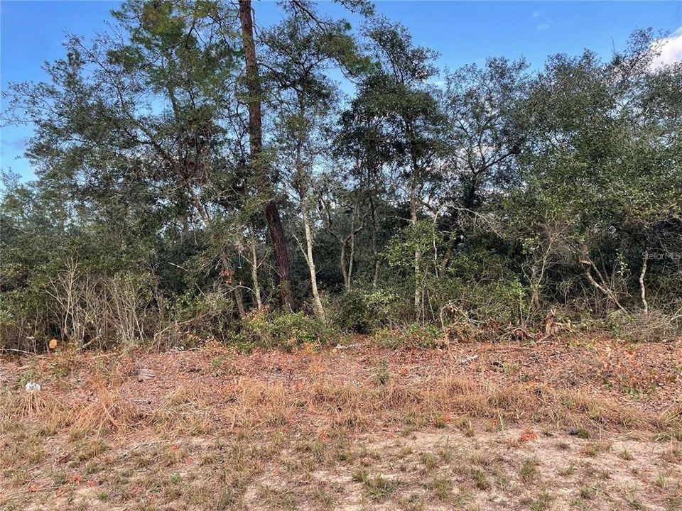 En Venta: $52,900 (0.24 acres)