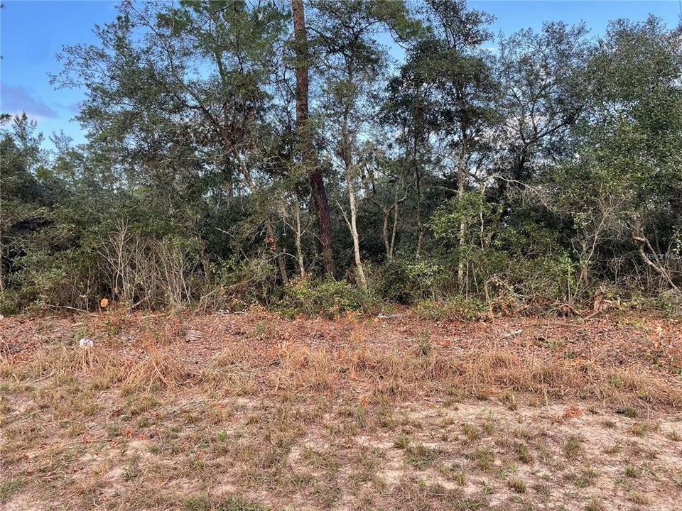 En Venta: $52,900 (0.24 acres)