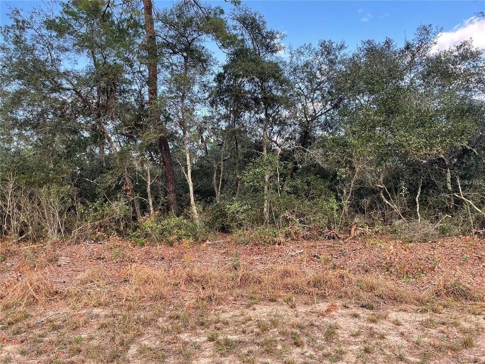 En Venta: $52,900 (0.24 acres)