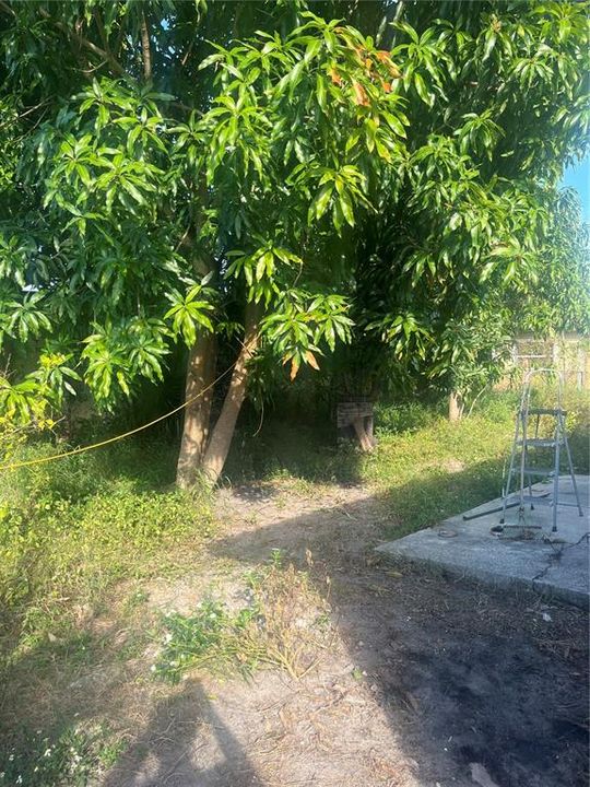 For Sale: $150,000 (3 beds, 1 baths, 910 Square Feet)