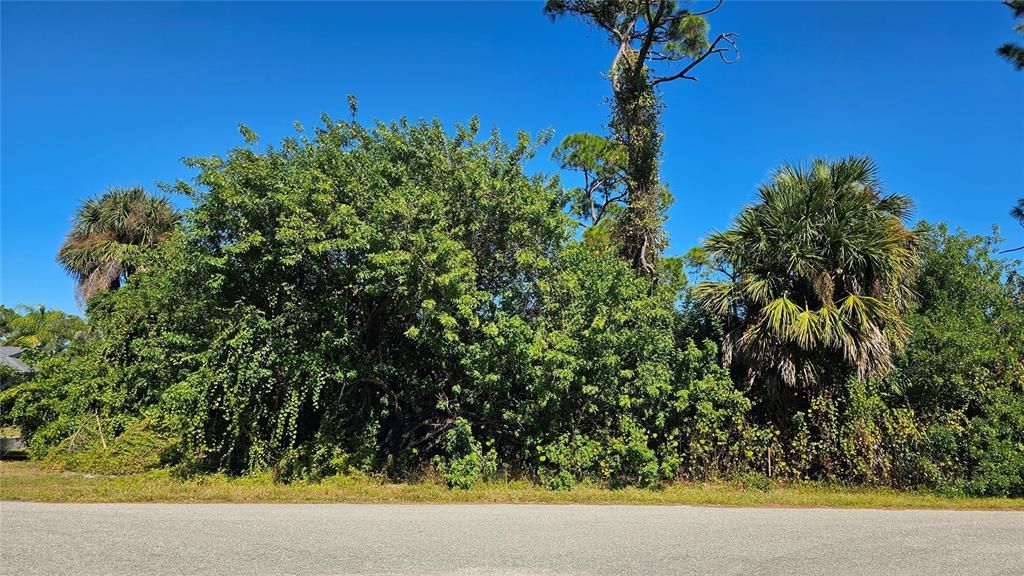 For Sale: $14,900 (0.23 acres)