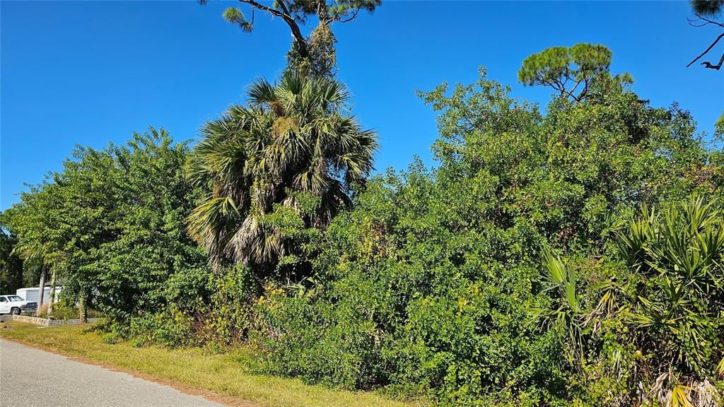 For Sale: $14,900 (0.23 acres)