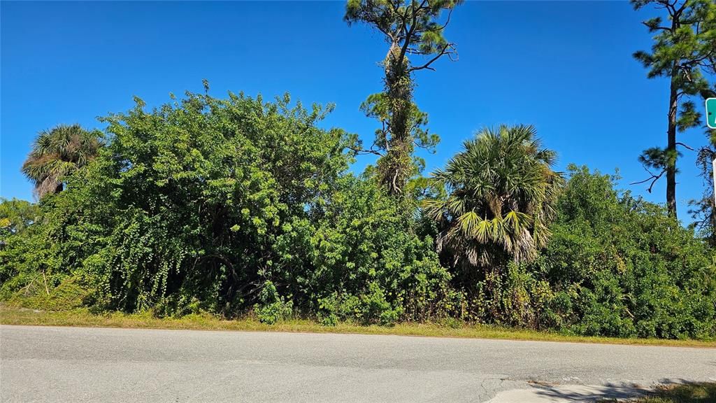 For Sale: $14,900 (0.23 acres)