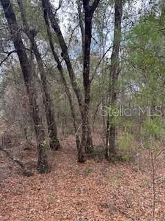 待售: $18,000 (0.21 acres)