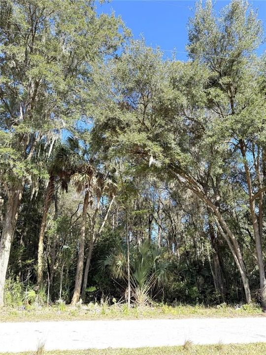 На продажу: $24,900 (1.00 acres)