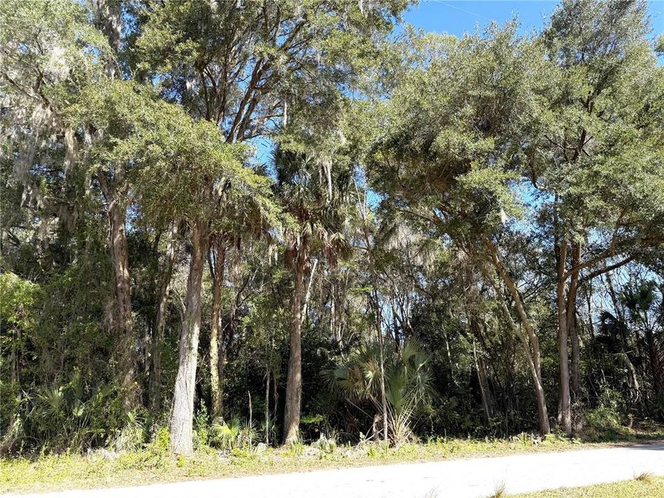 На продажу: $24,900 (1.00 acres)