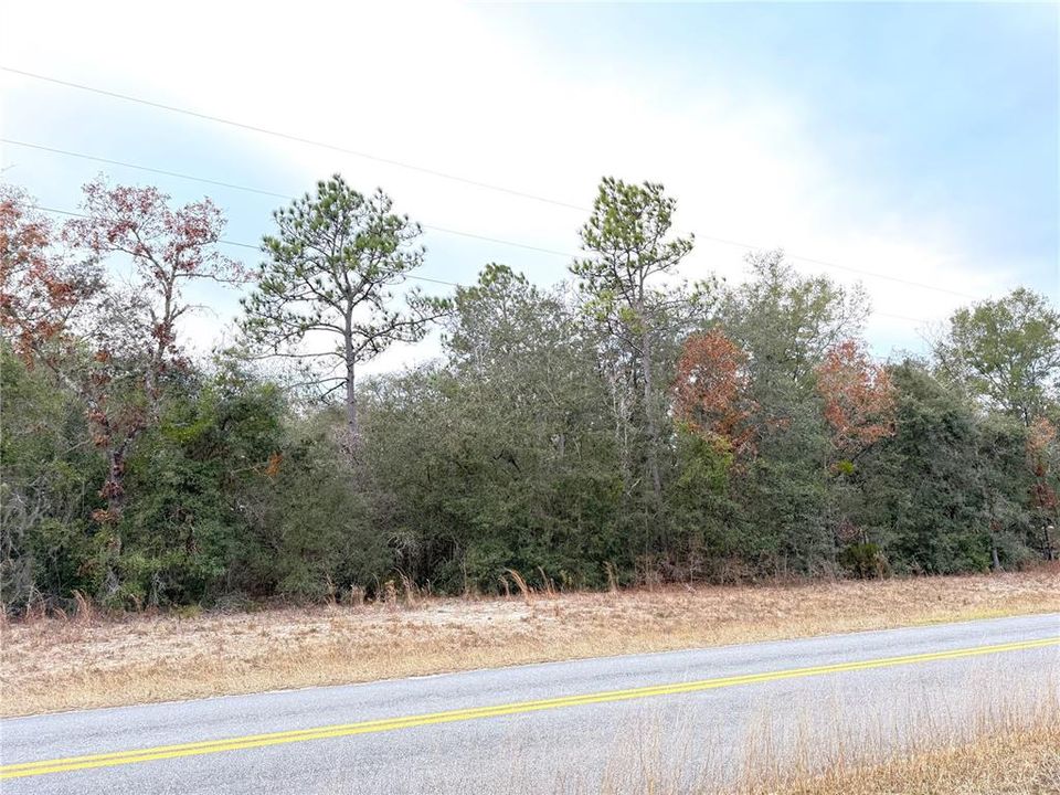 For Sale: $32,900 (1.28 acres)