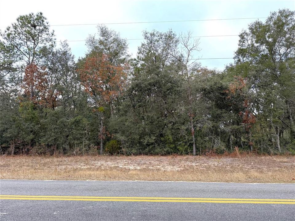 For Sale: $32,900 (1.28 acres)