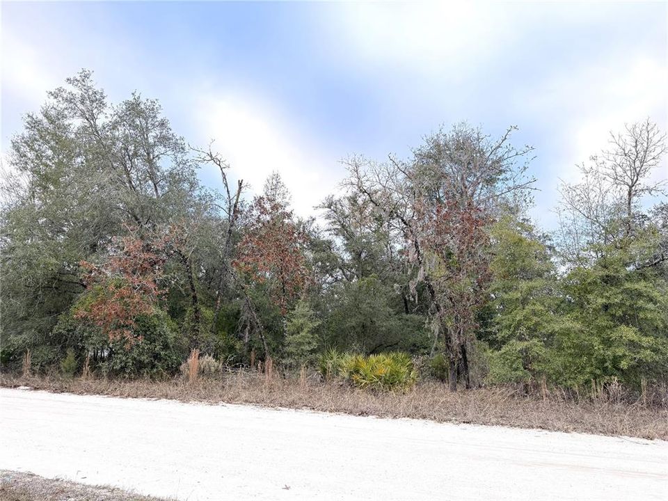 На продажу: $32,900 (1.58 acres)