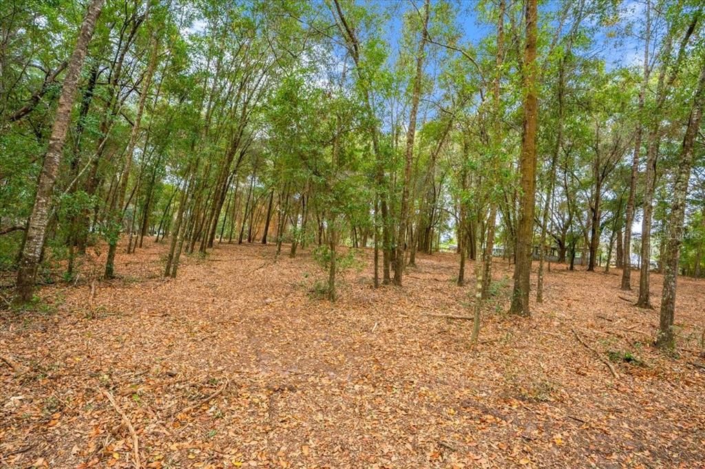 En Venta: $189,900 (3.00 acres)