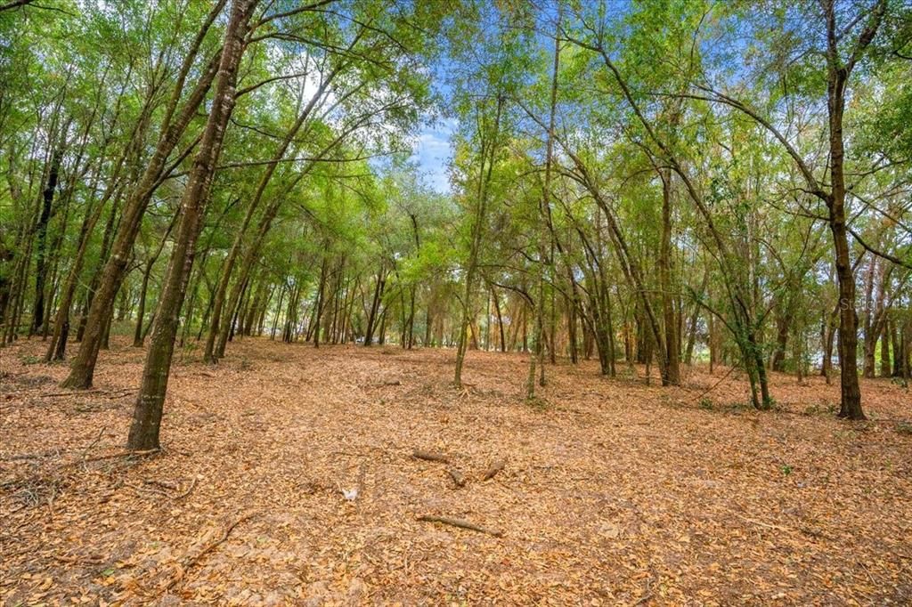 En Venta: $189,900 (3.00 acres)