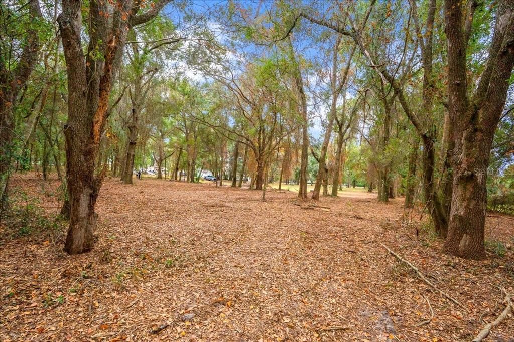 En Venta: $189,900 (3.00 acres)