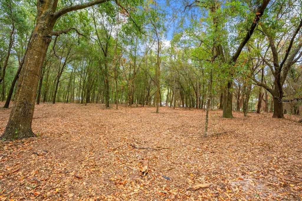 En Venta: $189,900 (3.00 acres)