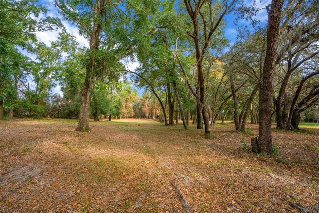 En Venta: $189,900 (3.00 acres)