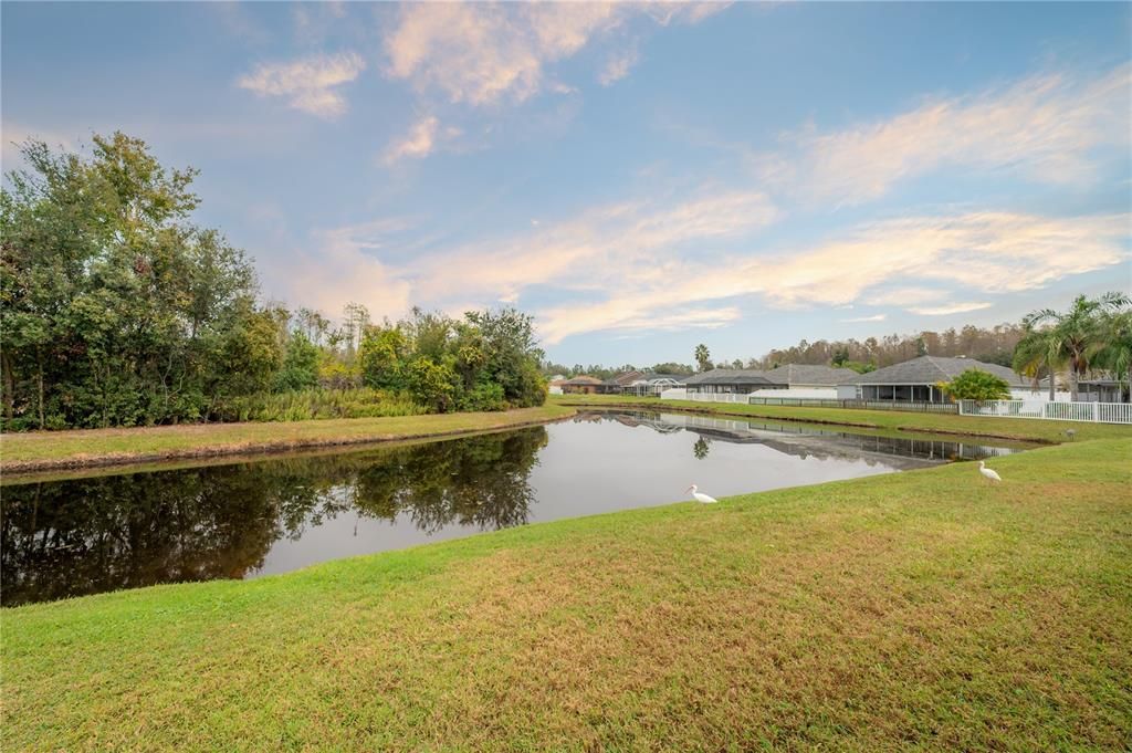 На продажу: $429,000 (4 спален, 2 ванн, 1956 Квадратных фут)