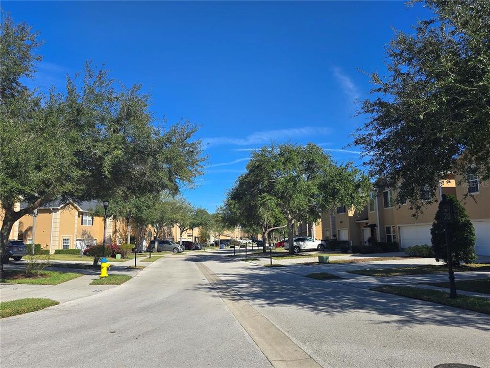 В аренду: $2,100 (3 спален, 2 ванн, 1685 Квадратных фут)