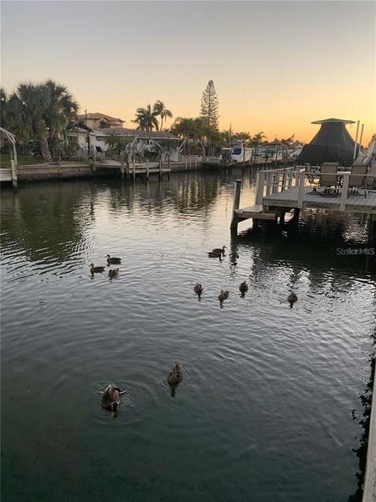 待售: $198,780 (2 贝兹, 2 浴室, 1218 平方英尺)