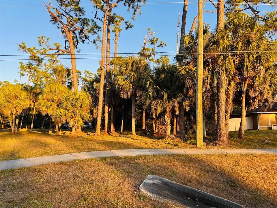 На продажу: $29,500 (0.23 acres)