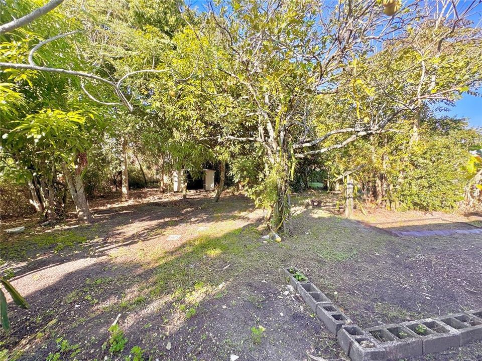 For Sale: $365,000 (3 beds, 2 baths, 1233 Square Feet)