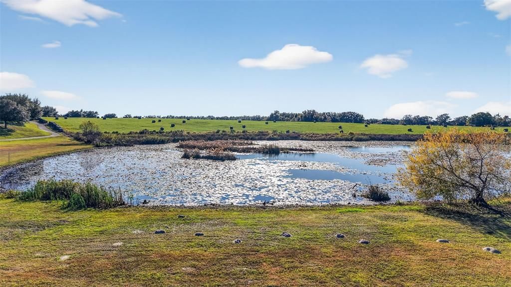 For Sale: $595,000 (2 beds, 2 baths, 2945 Square Feet)