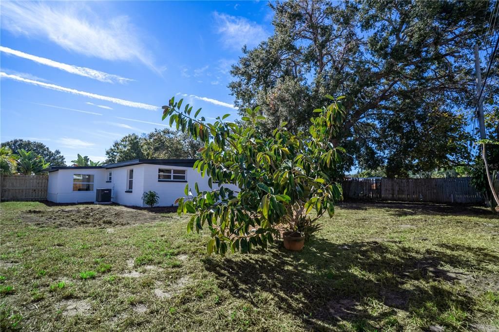 For Sale: $319,000 (3 beds, 1 baths, 1129 Square Feet)