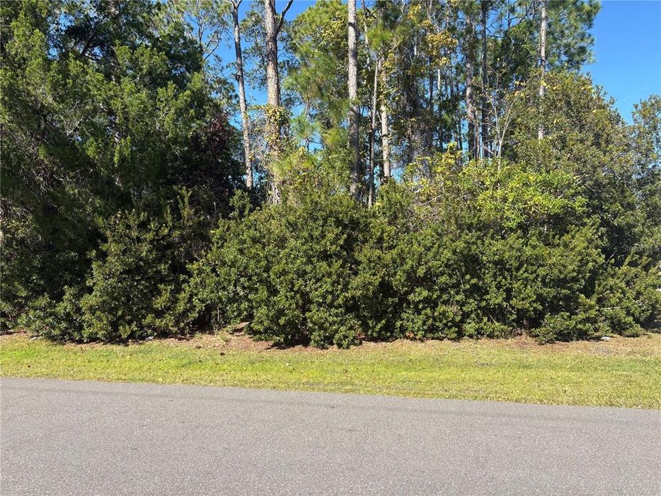 For Sale: $75,000 (0.29 acres)